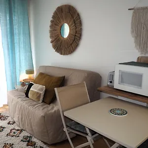 Studio, Balcon Et Acces Direct Page Appartement